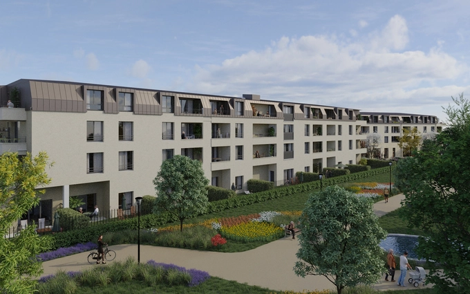 La cour du lion - rss à Château-Thierry