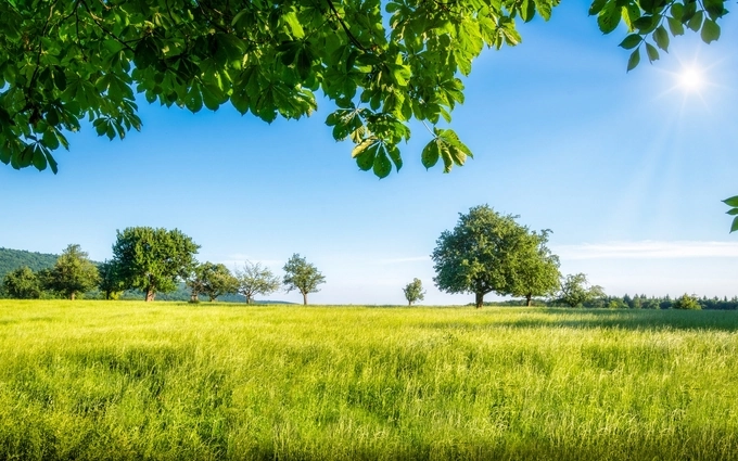 Cucq prés litins à Cucq (62780)