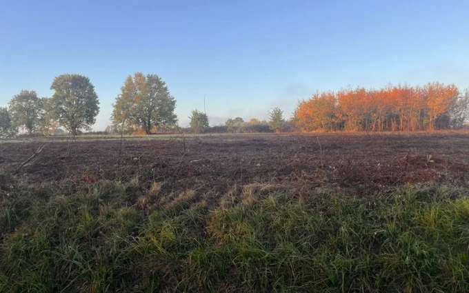 Terrain à partir de 700m² à cursan à Cursan (33670)