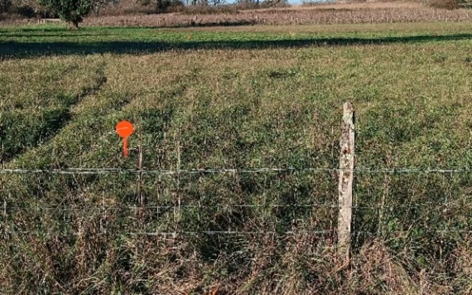 Terrain à partir de 1500m² à peujard à Peujard