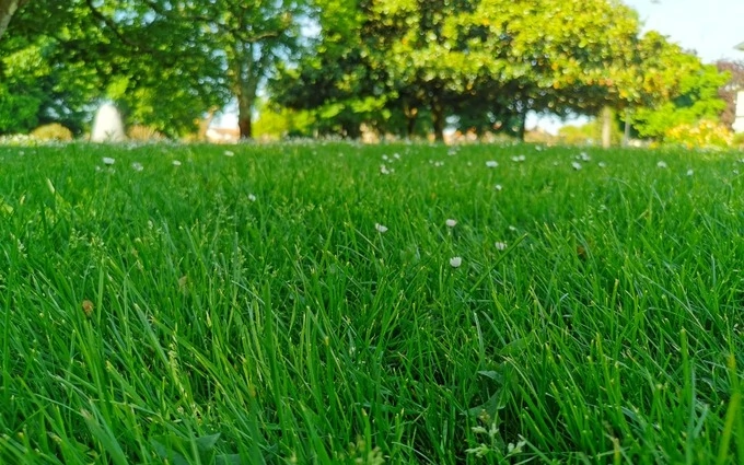 Terrain à partir de 400m² à hourtin à Hourtin