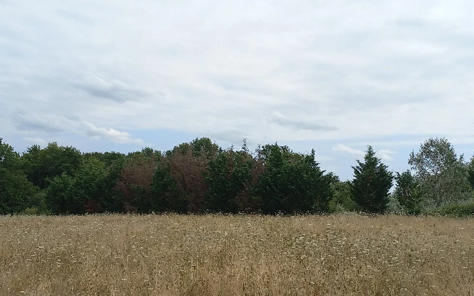 Terrain à partir de 2210m² à eygurande-et-gardedeuil à Eygurande-et-Gardedeuil (24700)