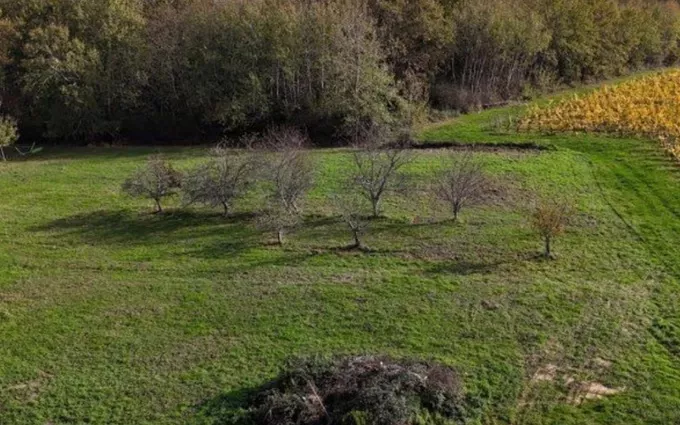 Terrain à partir de 2500m² à saint-michel-de-rieufret à Saint-Michel-de-Rieufret (33720)