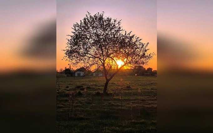Terrain à partir de 600m² à cavignac à Cavignac