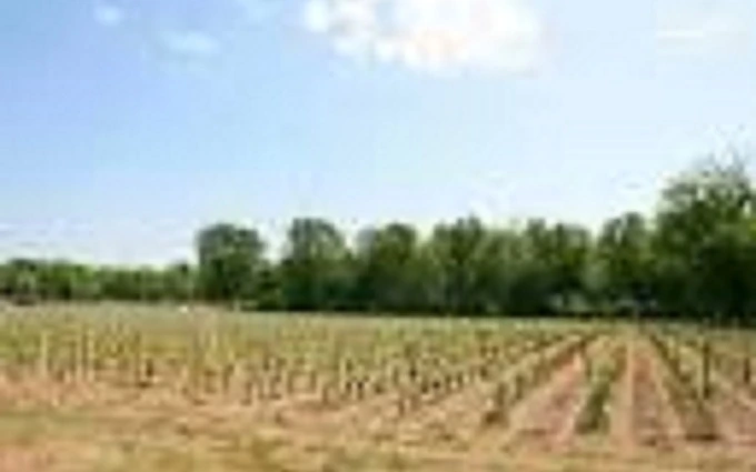 Terrain à partir de 515m² à cérons à Cérons