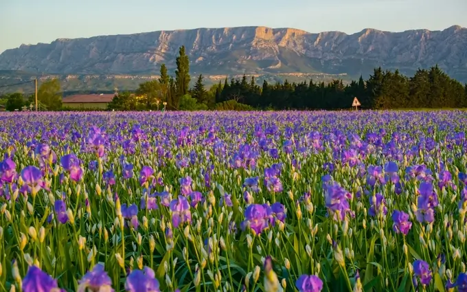 Terrasses Victoria à Trets