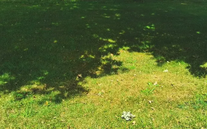 Terrain à partir de 921m² à saint-maixant à Saint-Maixant (33490)