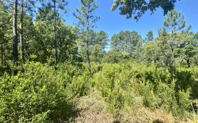 Terrain à partir de 310m² à le barp à Le Barp (33114)