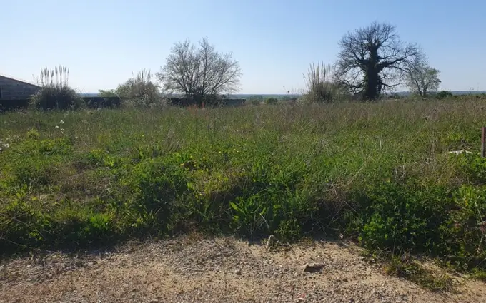 Terrain à partir de 500m² à saint-gervais à Saint-Gervais (33240)