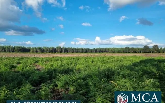 Terrain à partir de 562m² à laluque à Laluque (40465)