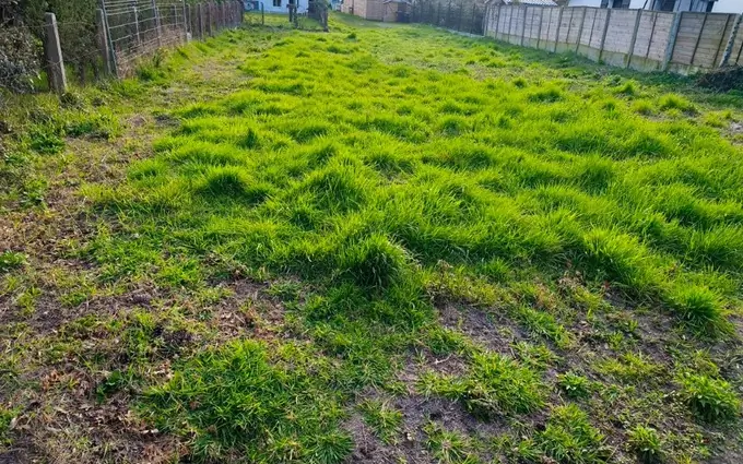 Terrain à partir de 380m² à salles à Salles (33770)