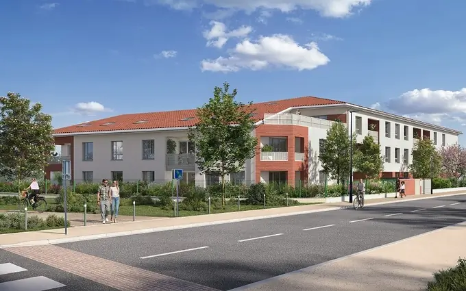 Le sycomore à Toulouse