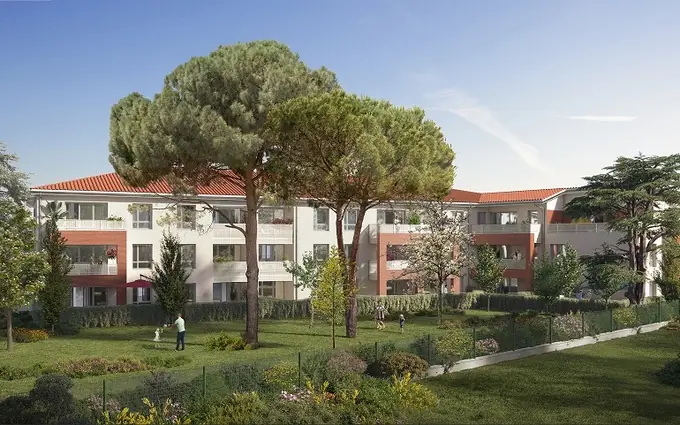 Le sycomore à Toulouse