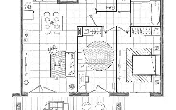 Le sycomore à Toulouse