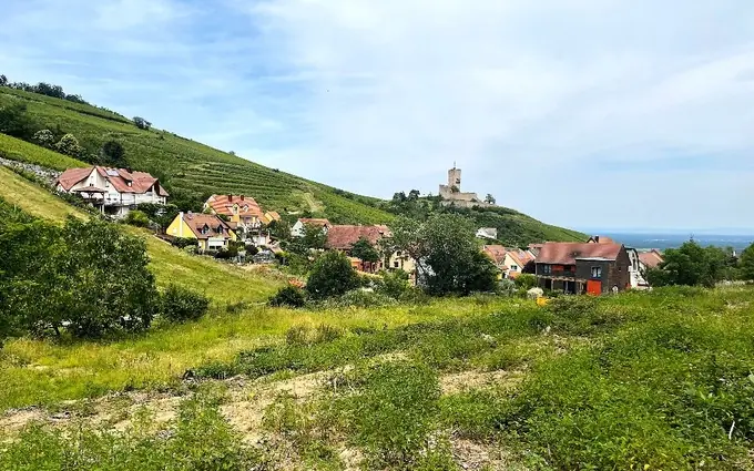 Le Hamo du Wineck à Katzenthal (68230)