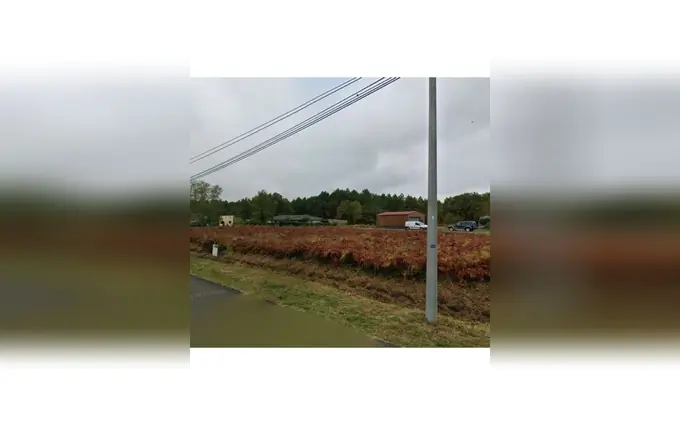 Terrain à partir de 307m² à saucats à Saucats