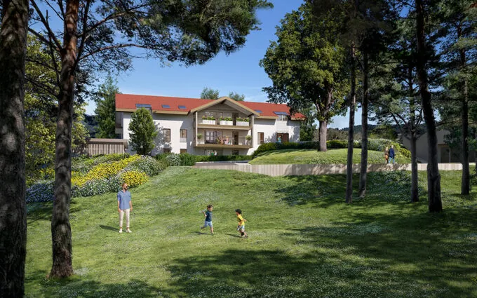 Le chêne d'or à Neydens