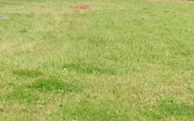 Terrain à partir de 370m² à barsac à Barsac (33720)