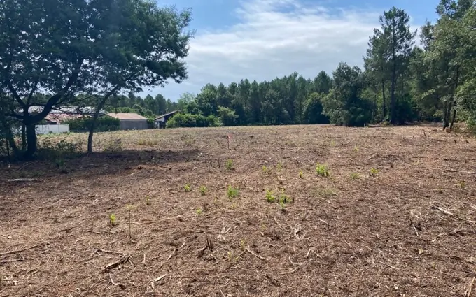 Terrain à partir de 250m² à mimizan à Mimizan
