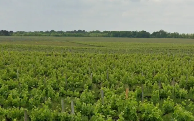 Terrain à partir de 500m² à portets à Portets (33640)