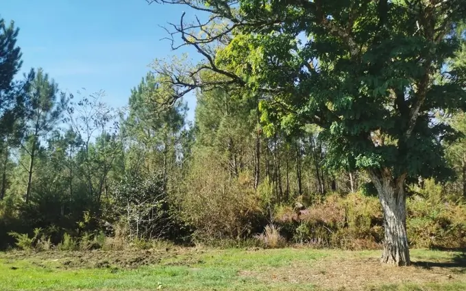 Terrain à partir de 410m² à castres-gironde à Castres-Gironde (33640)