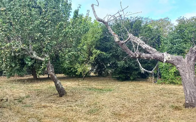 Terrain à partir de 830m² à montpon-ménestérol à Montpon-Ménestérol (24700)