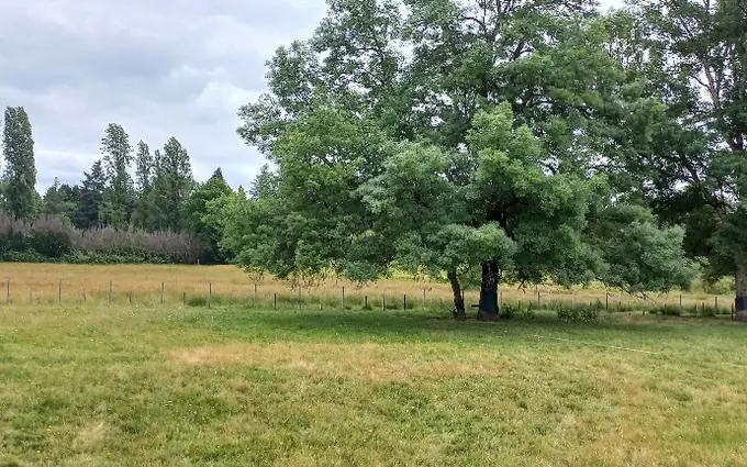 Terrain à partir de 1200m² à ménesplet à Ménesplet (24700)