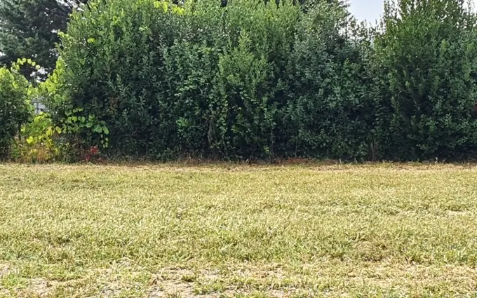 Terrain à partir de 550m² à samonac à Samonac