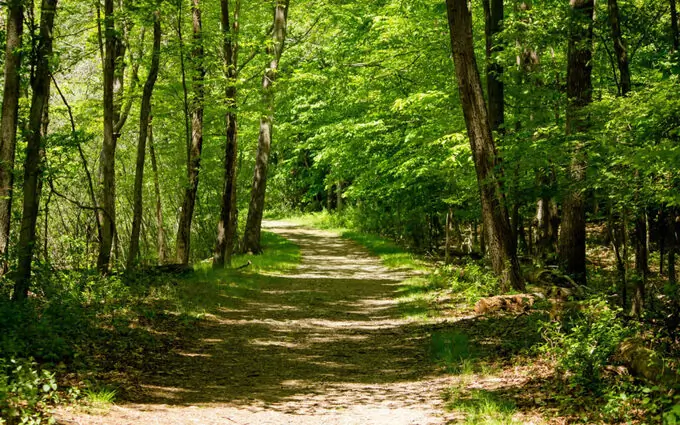 Le clos des sens à Villenave-d'Ornon