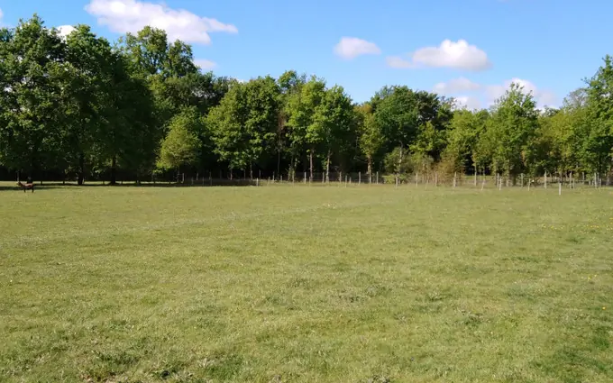 Terrain à partir de 1534m² à beaupouyet à Beaupouyet (24400)