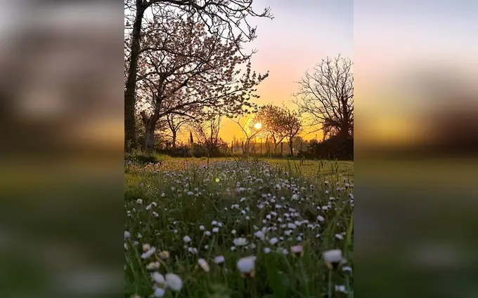 Terrain à partir de 650m² à coutras à Coutras (33230)