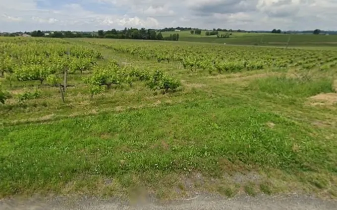 Terrain à partir de 700m² à bourg à Bourg (33710)