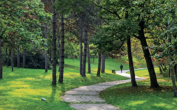 Le Céleste à Le Blanc-Mesnil