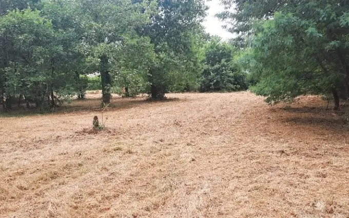 Terrain à partir de 380m² à salles à Salles