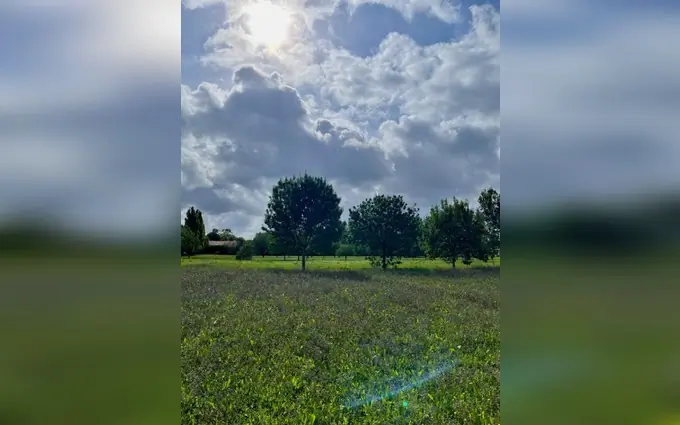 Terrain à partir de 351m² à mornac-sur-seudre à Mornac-sur-Seudre (17113)