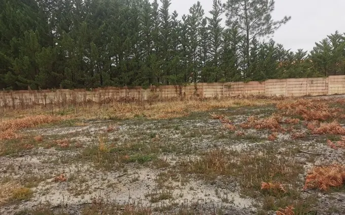 Terrain à partir de 426m² à biscarrosse à Biscarrosse (40600)