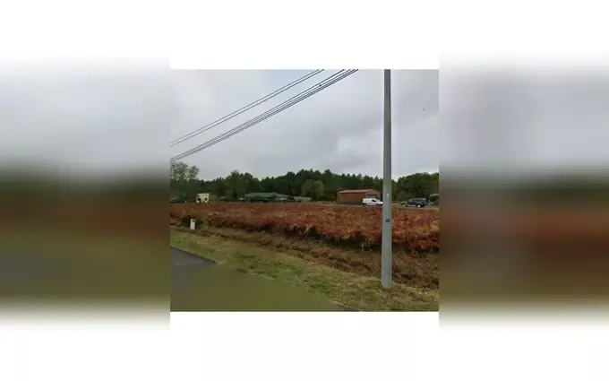 Terrain à partir de 307m² à belin-béliet à Belin-Béliet (33830)