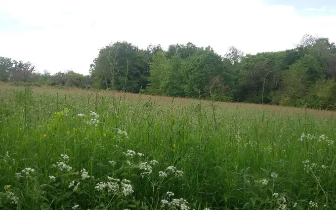 Terrain à partir de 3700m² à saint-jean-d'ataux à Saint-Jean-d'Ataux