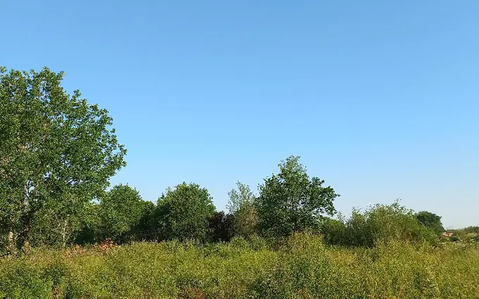 Terrain à partir de 3300m² à montpon-ménestérol à Montpon-Ménestérol (24700)