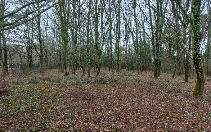 Terrain à partir de 2000m² à saint-médard-de-mussidan à Saint-Médard-de-Mussidan (24400)