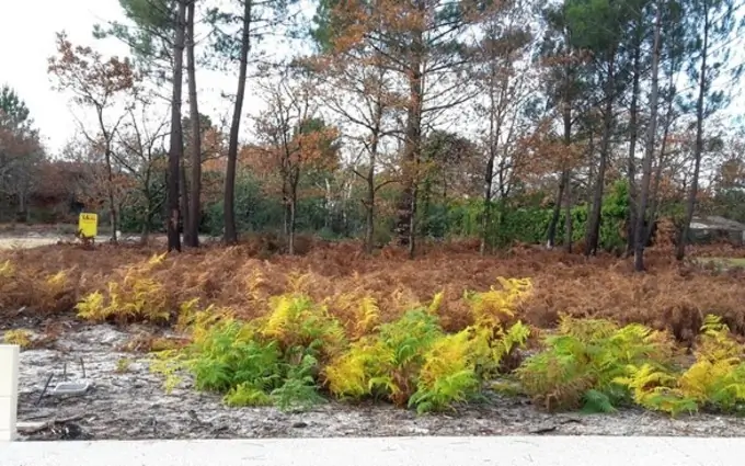 Terrain à partir de 650m² à saint-magne à Saint-Magne (33125)