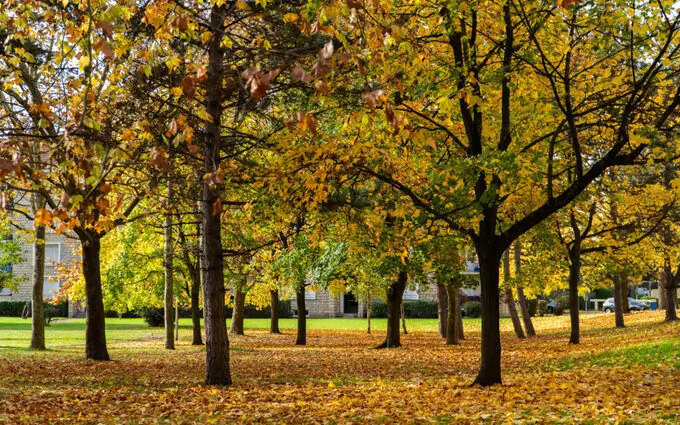 Domaine de la Croix de l'Ermite - Appartements à Dugny