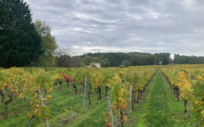 Terrain à partir de 1500m² à saint-sauveur-de-puynormand à Saint-Sauveur-de-Puynormand