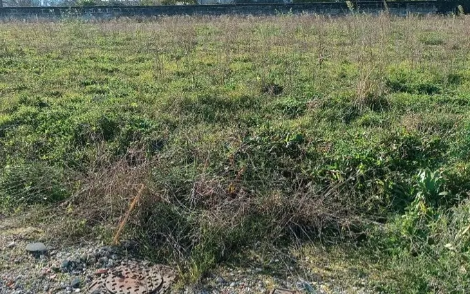 Terrain à partir de 1050m² à gauriaguet à Gauriaguet