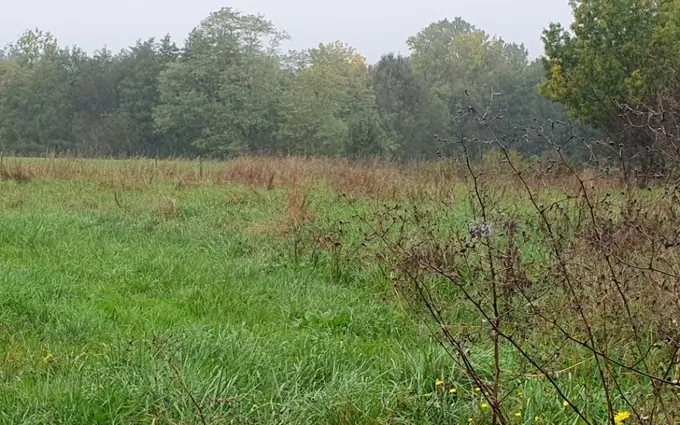 Terrain à partir de 730m² à tizac-de-lapouyade à Tizac-de-Lapouyade (33620)