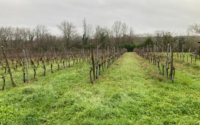 Terrain à partir de 1000m² à pineuilh à Pineuilh