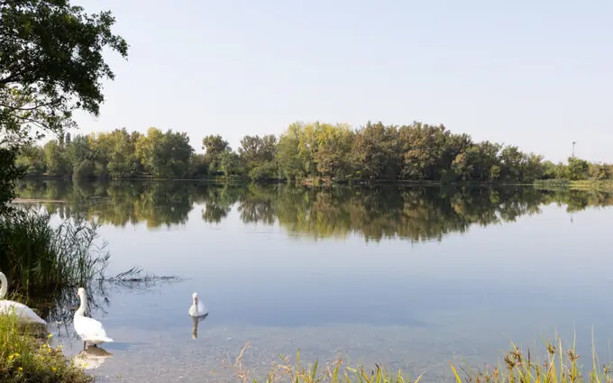 Les terrasses de la victoire à Ambarès-et-Lagrave