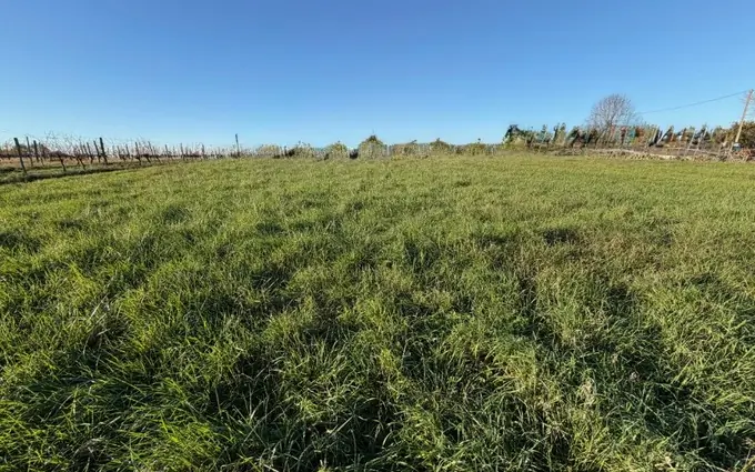 Terrain à partir de 380m² à capian à Capian (33550)