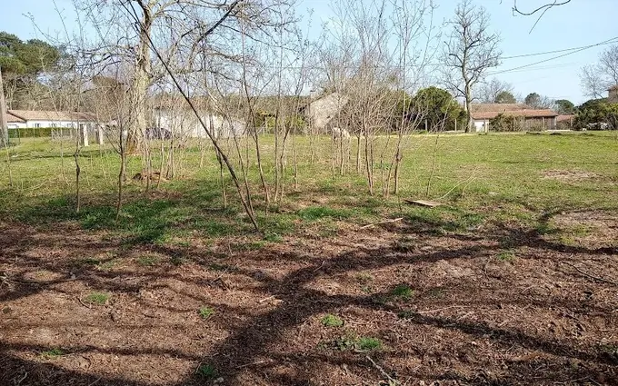 Terrain à partir de 900m² à pompéjac à Pompéjac (33730)