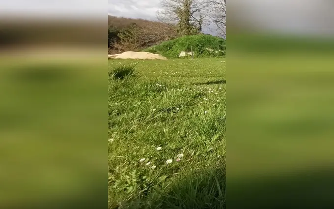 Terrain à partir de 600m² à périgueux à Périgueux (24000)